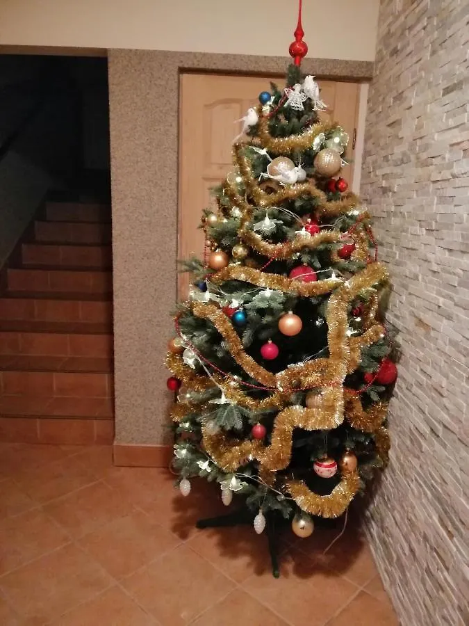 Apartament Pod wyciągiem Zakopane Kwatera prywatna